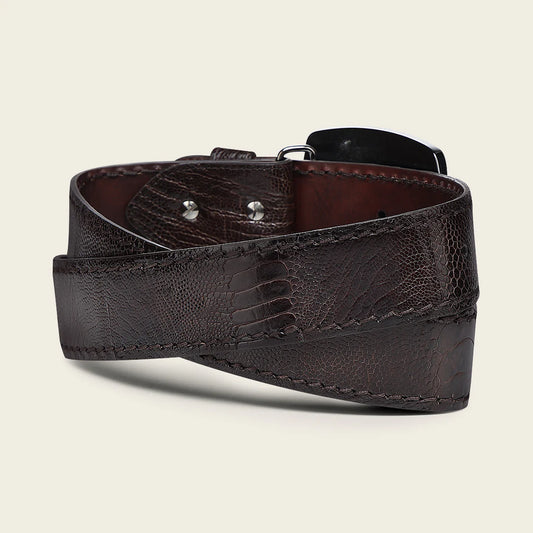 CV513AP - Cuadra Chocolate Western Fashion Ostrich Leg Belt for Men