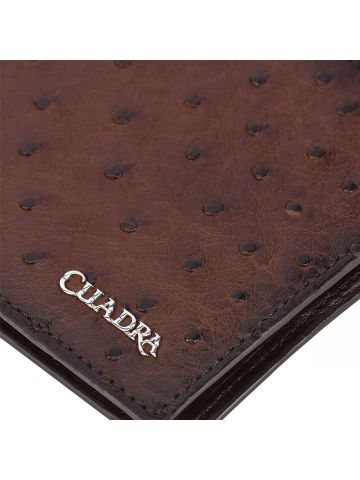 B3042A1 - Cuadra brown tobacco classic full quill ostrich leather bi fold wallet for men-Kuet.us