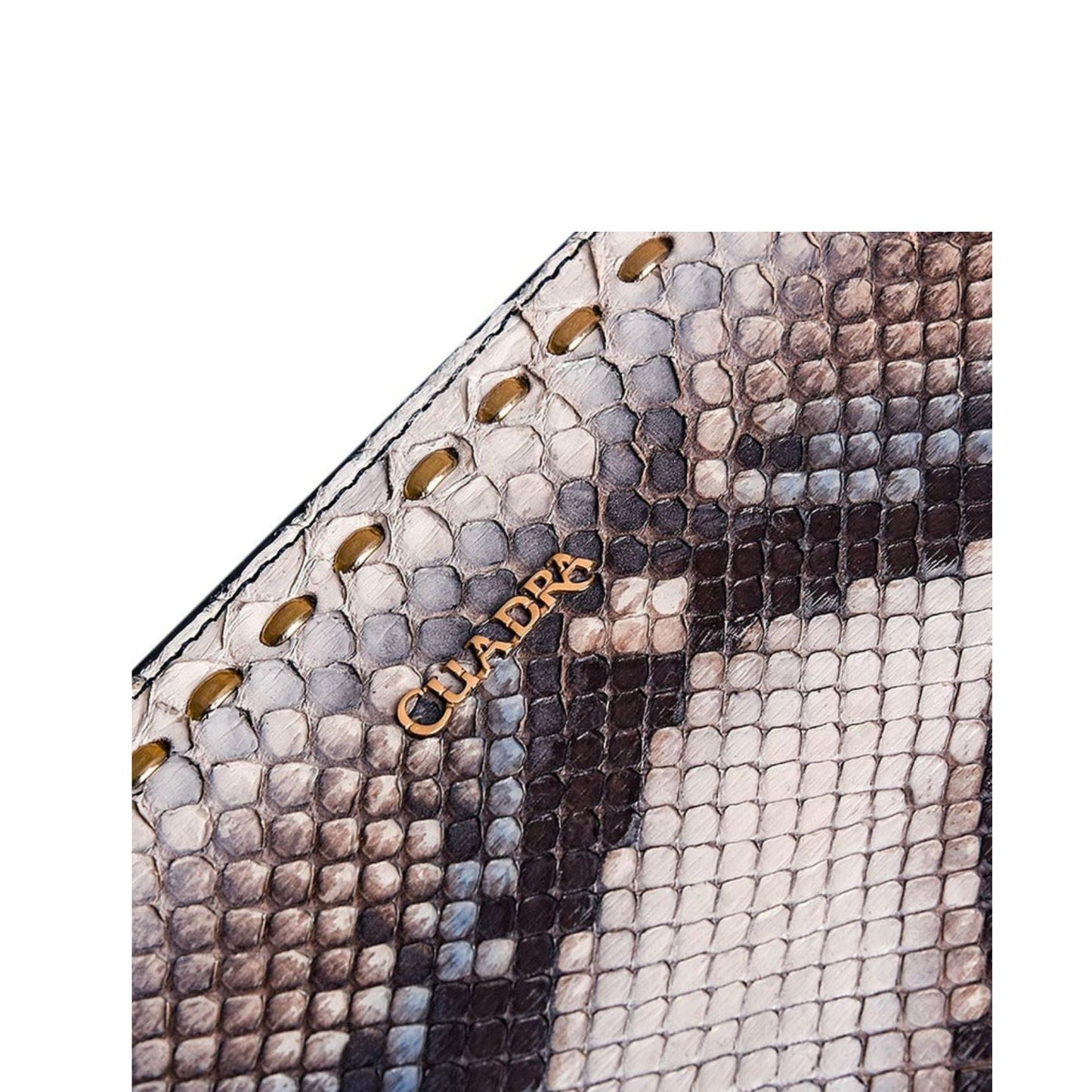 BD211PI - Cuadra blue fashion python leather wallet clutch for women-Kuet.us