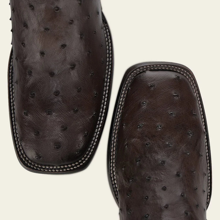 Botas Cuadra Avestruz para hombre y mujer