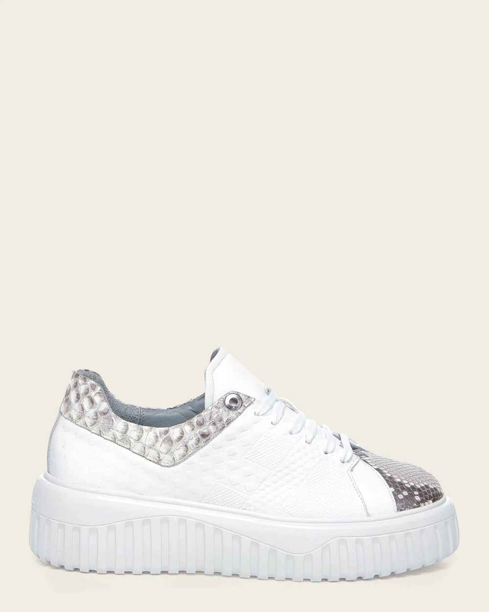 02LPBPN - Cuadra White Python Sneakers for Women
