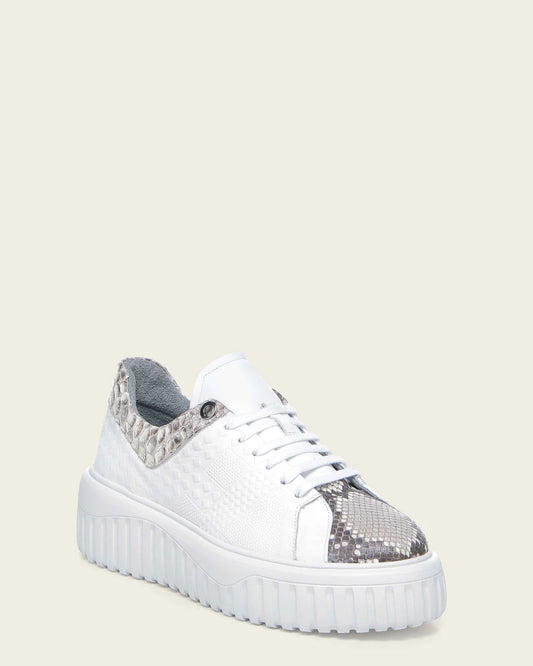 02LPBPN - Cuadra White Python Sneakers for Women