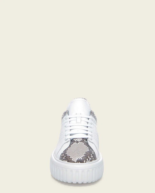 02LPBPN - Cuadra White Python Sneakers for Women