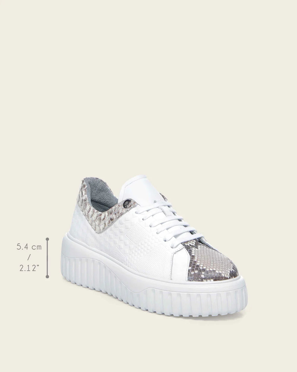 02LPBPN - Cuadra White Python Sneakers for Women