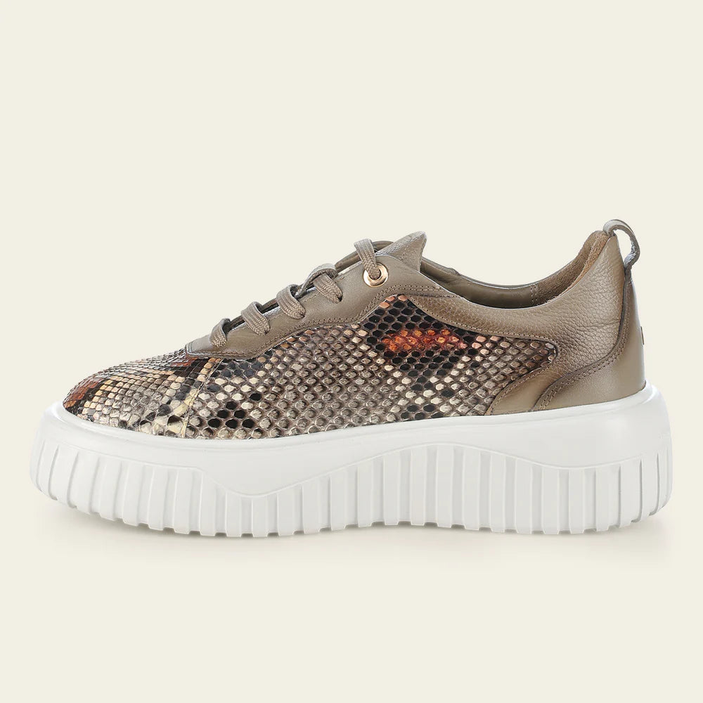 03LPBNA - Cuadra beige python sneakers for women