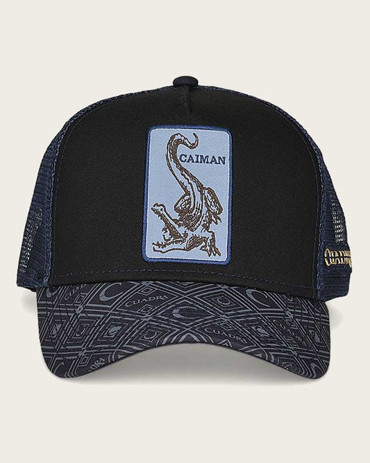 0CAIKNV BLUE hat