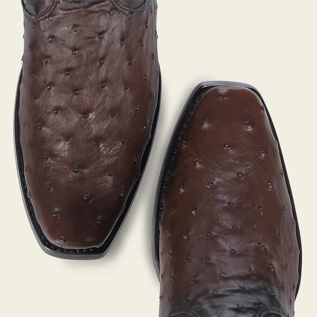 1J3DA1 - Cuadra chocolate dress cowboy ostrich boots for men