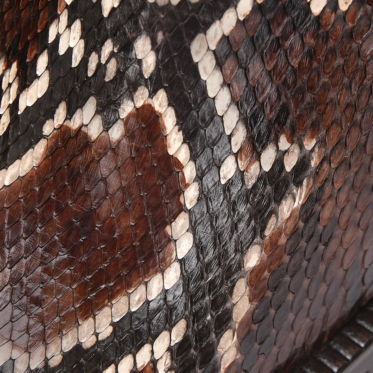 6G0PBRS- Cuadra brown python skin ankle boots for women
