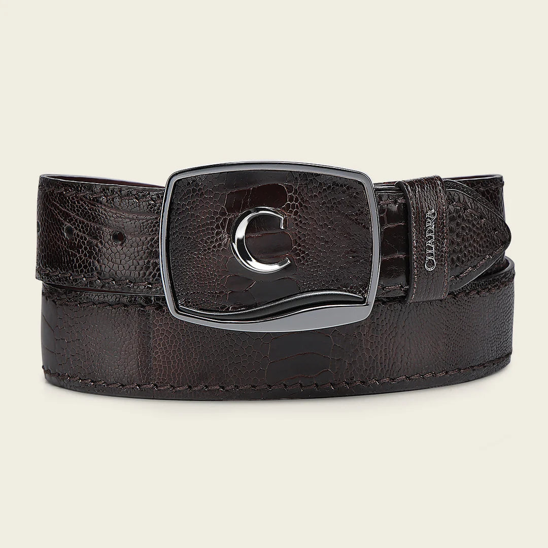 CV513AP - Cuadra Chocolate Western Fashion Ostrich Leg Belt for Men