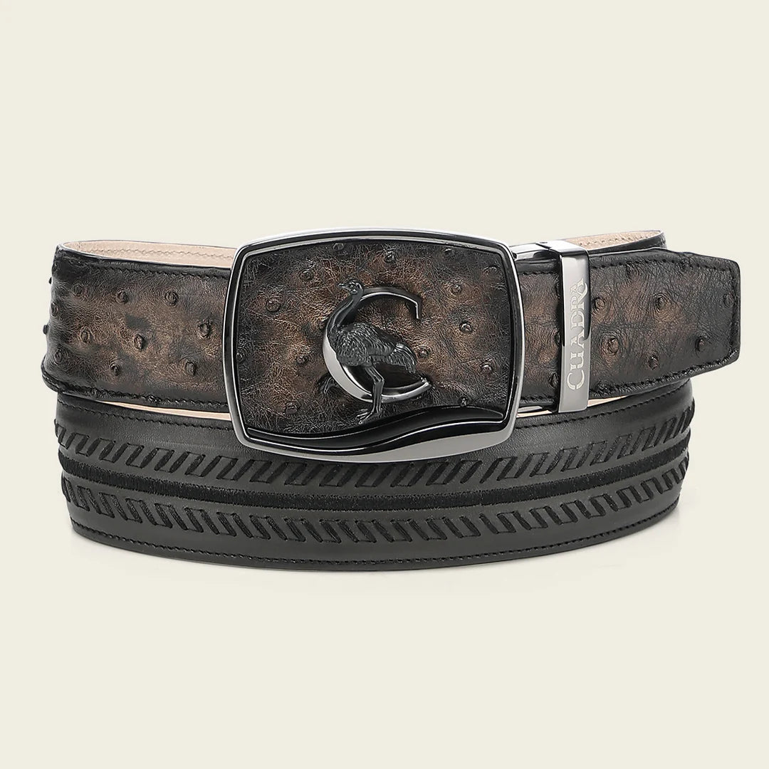 CV516A1 - Cuadra Black Western Fashion Ostrich Belt for Men