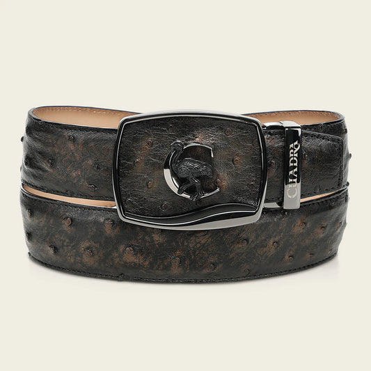 CV519A1 - Cuadra bronce ostrich leather belt for men