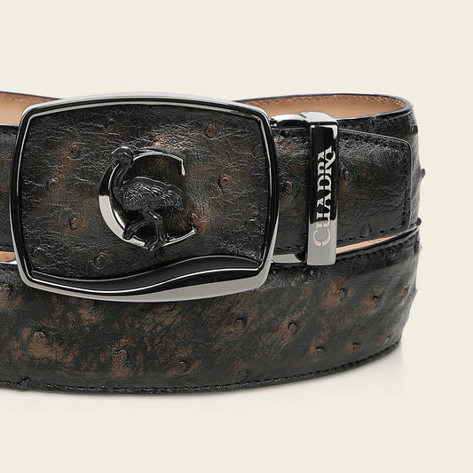 CV519A1 - Cuadra bronce ostrich leather belt for men