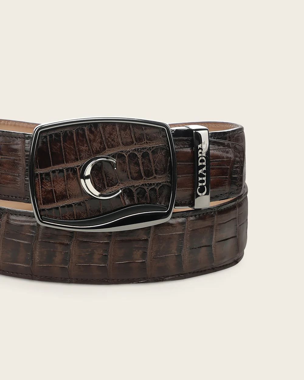 CV520AL - Cuadra chocolate alligator leather belt for men