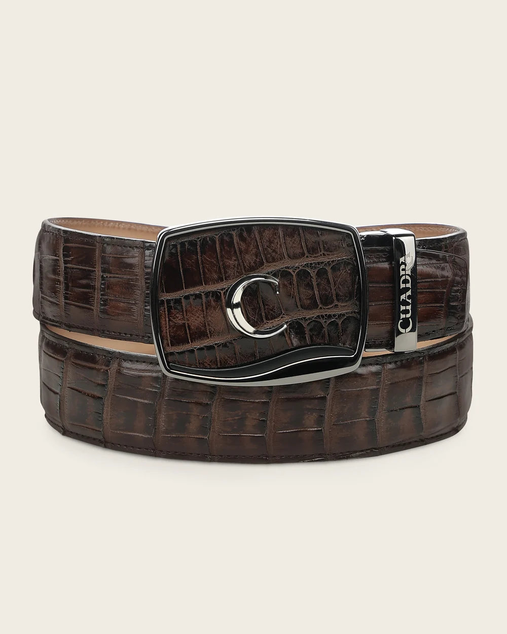 CV520AL - Cuadra chocolate alligator leather belt for men