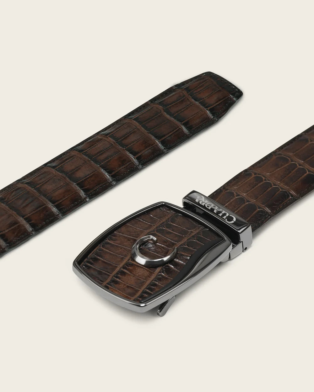 CV520AL - Cuadra chocolate alligator leather belt for men