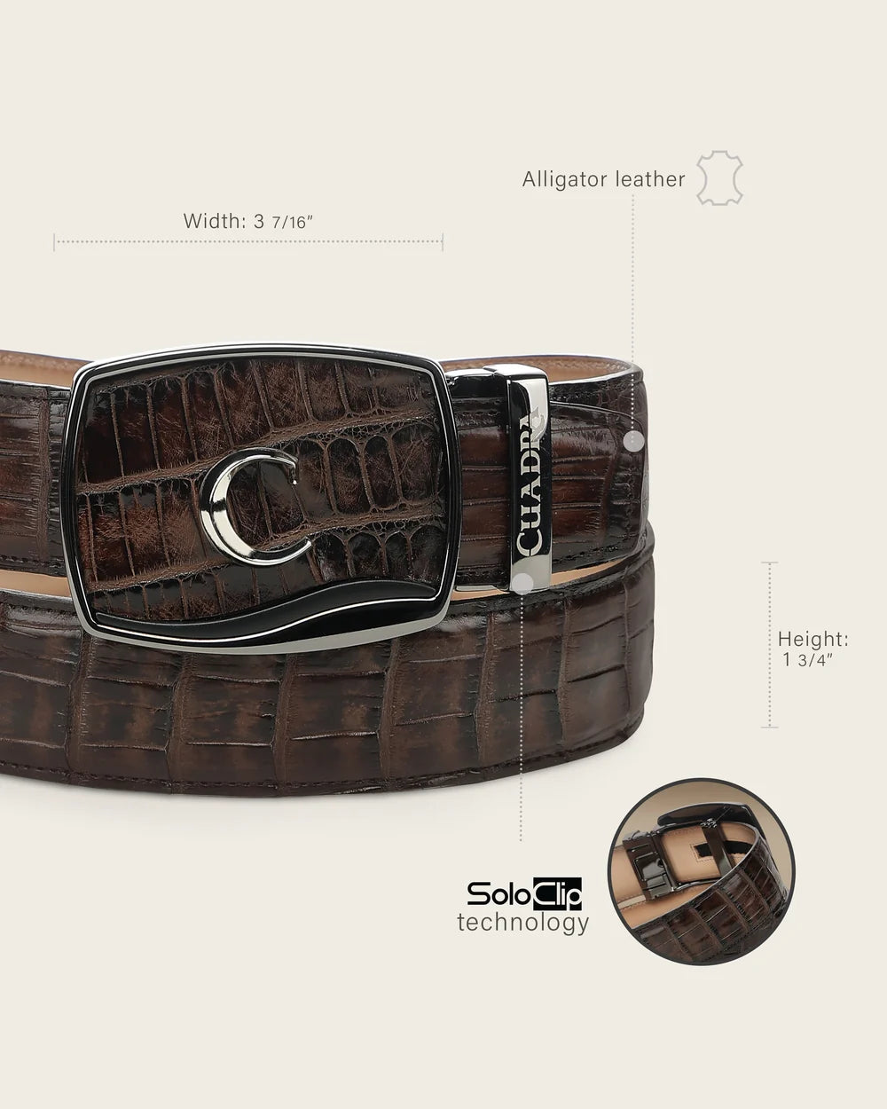 CV520AL - Cuadra chocolate alligator leather belt for men