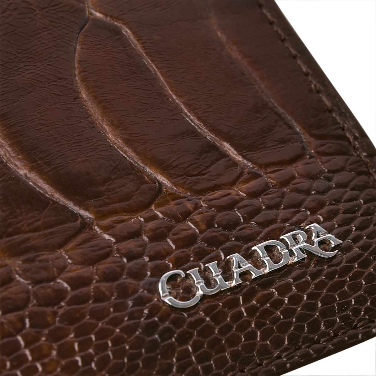 B2910PA - Cuadra chocolate classic ostrich leg bi fold wallet for men-CUADRA-Kuet-Cuadra-Boots