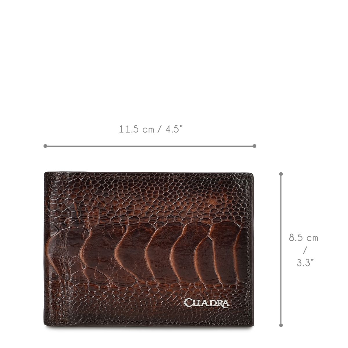 B2910PA - Cuadra chocolate classic ostrich leg bi fold wallet for men-Kuet.us