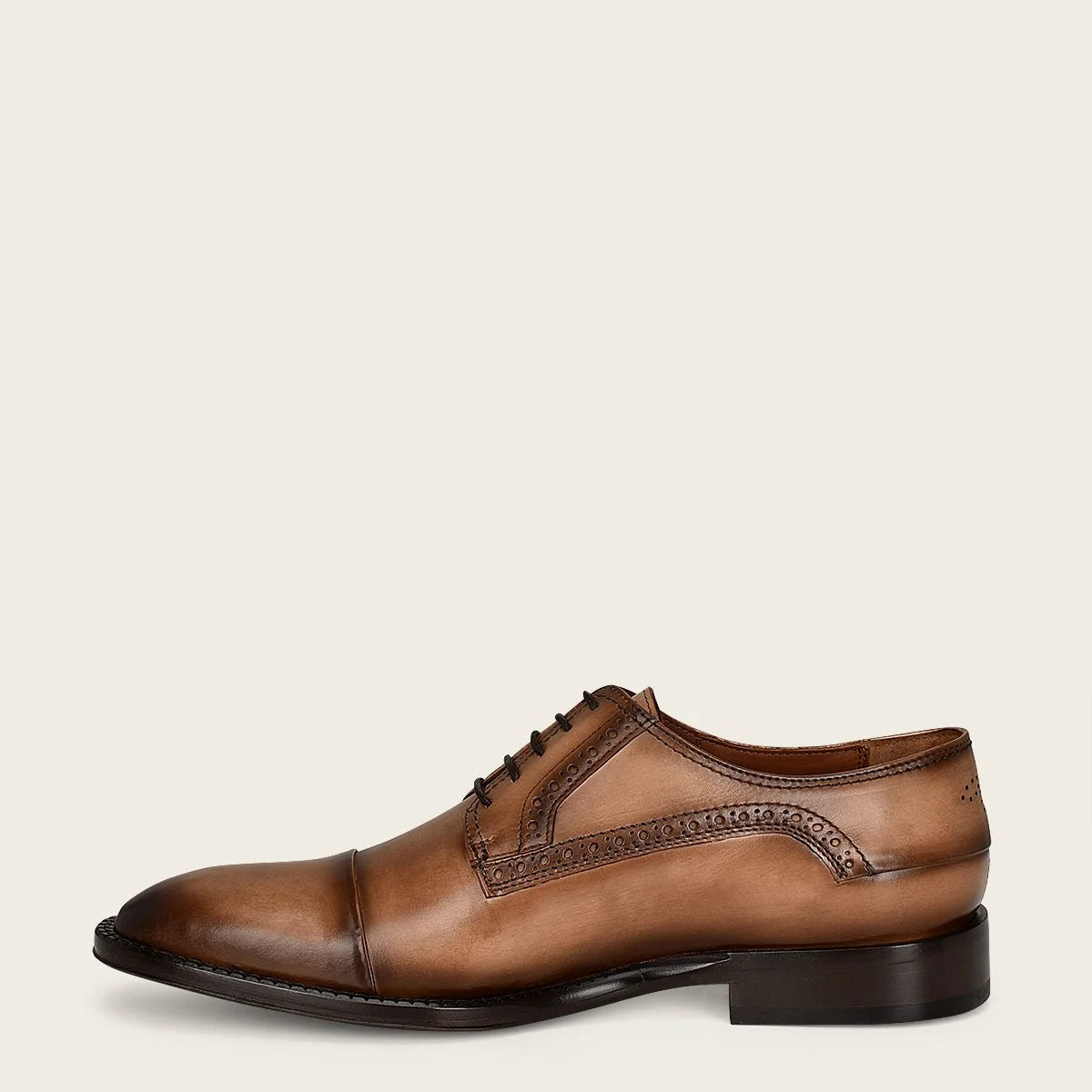 D24TVTV - Brown Franco Cuadra Shoe