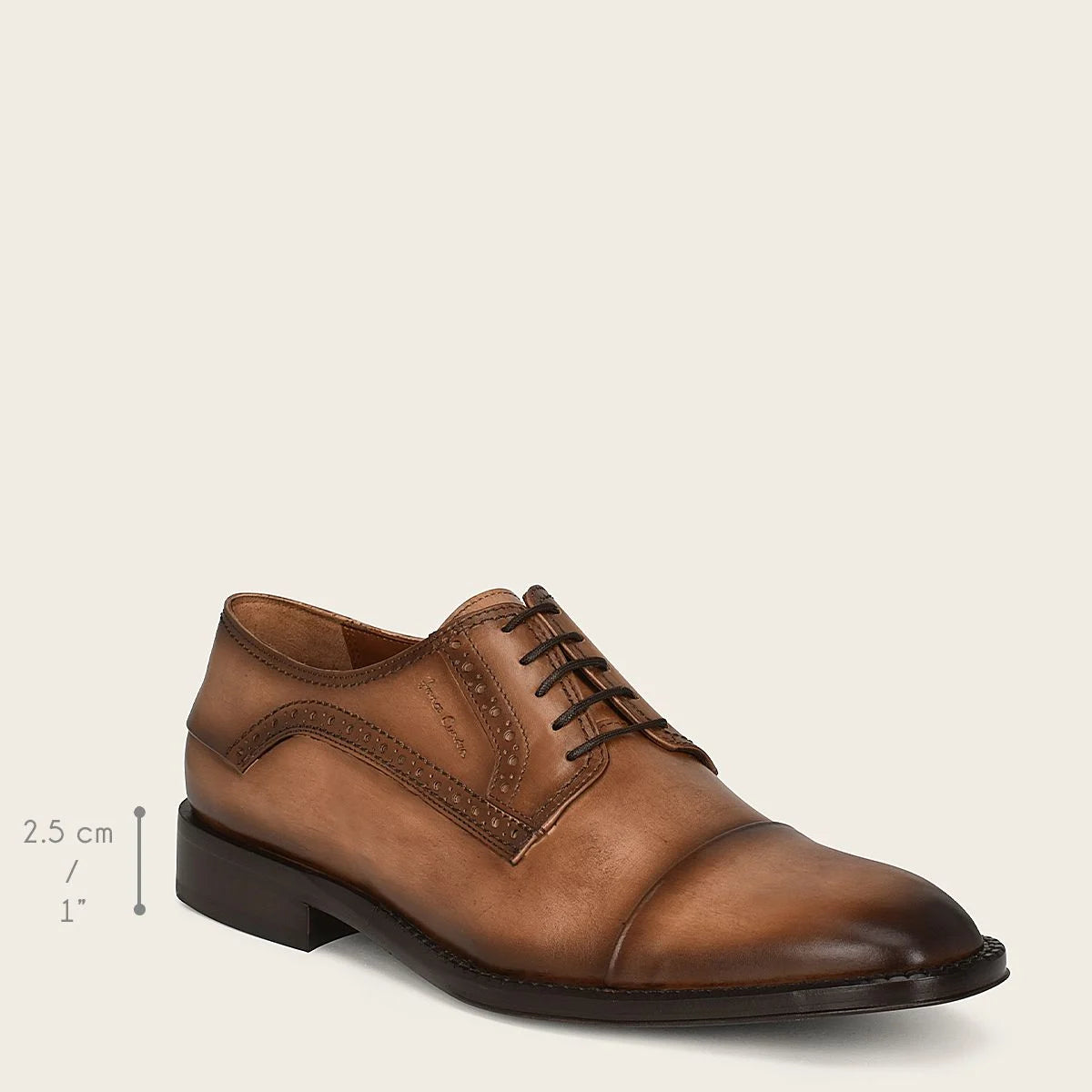 D24TVTV - Brown Franco Cuadra Shoe